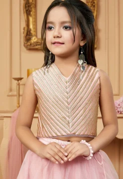 Embroidered Net Lehenga in Pink