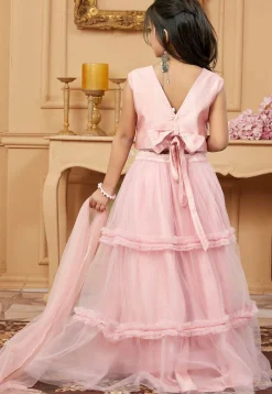 Embroidered Net Lehenga in Pink