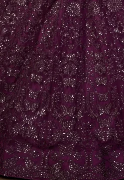 Embroidered Net Lehenga in Wine