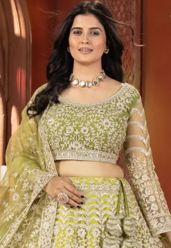 Embroidered Net Lehenga in Light Olive Green