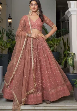 Embroidered Net Lehenga in Peach