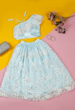 Embroidered Net Lehenga in Sky Blue