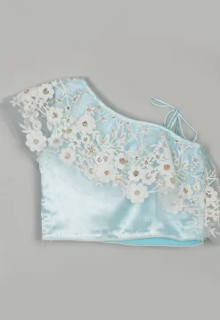 Embroidered Net Lehenga in Sky Blue