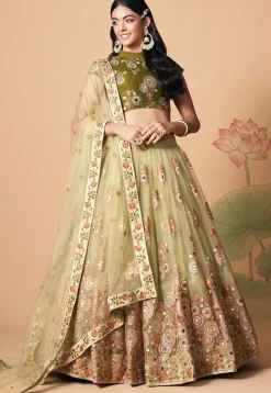 Embroidered Net Lehenga in Light Green