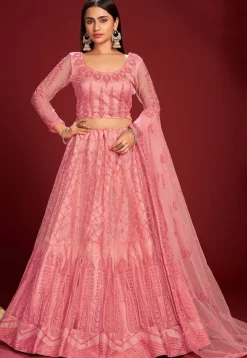 Embroidered Net Lehenga in Pink