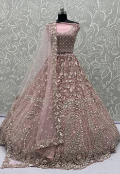 Embroidered Net Lehenga in Pink