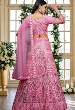 Embroidered Net Lehenga in Pink