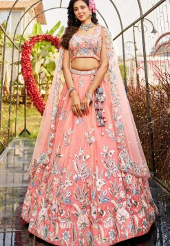 Embroidered Net Lehenga in Peach