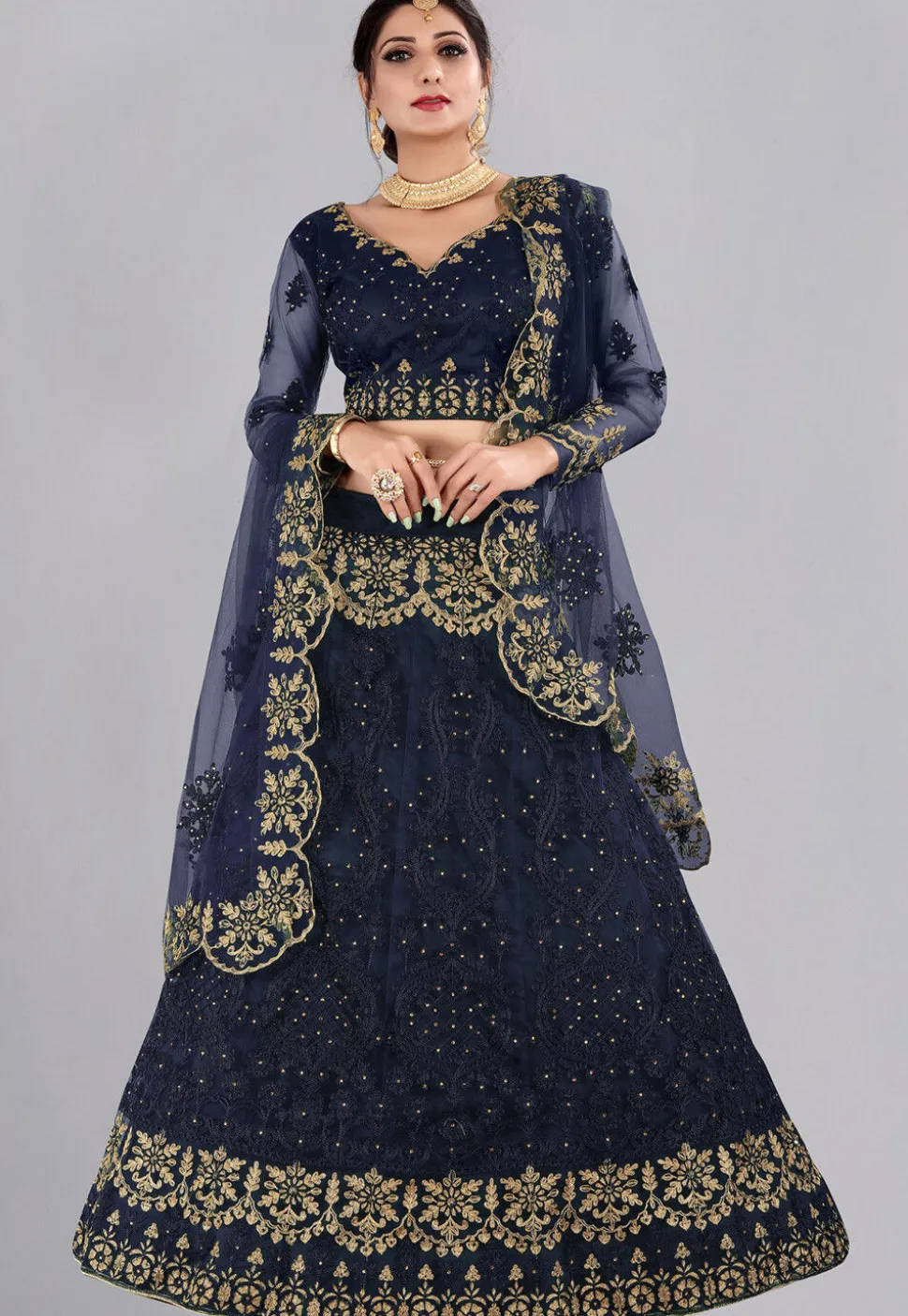 Embroidered Net Lehenga in Blue