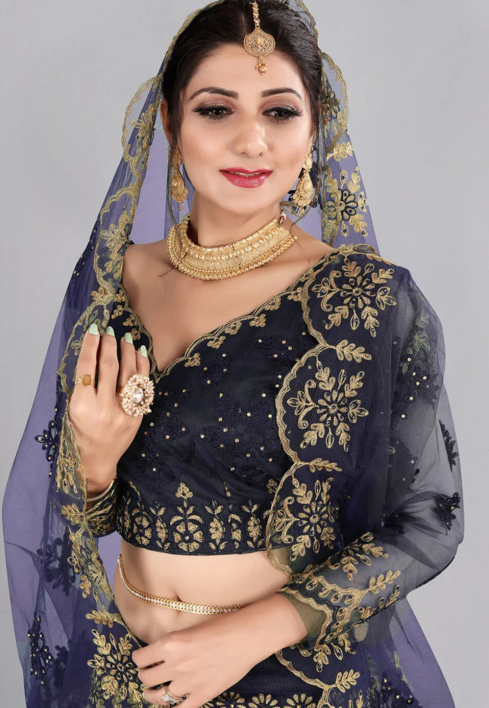 Embroidered Net Lehenga in Blue