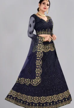 Embroidered Net Lehenga in Blue