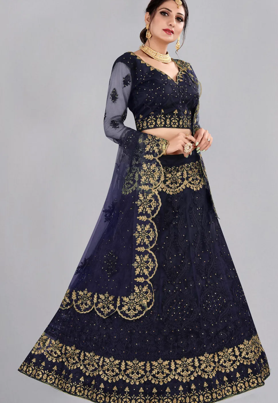 Embroidered Net Lehenga in Blue