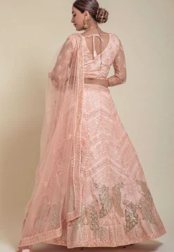 Embroidered Net Lehenga in Peach