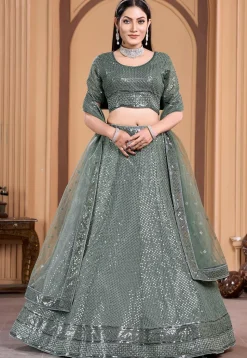 Embroidered Net Lehenga in Dusty Green