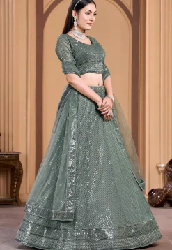 Embroidered Net Lehenga in Dusty Green