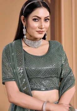 Embroidered Net Lehenga in Dusty Green