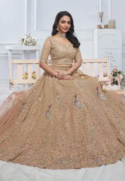Embroidered Net Lehenga in Light Brown