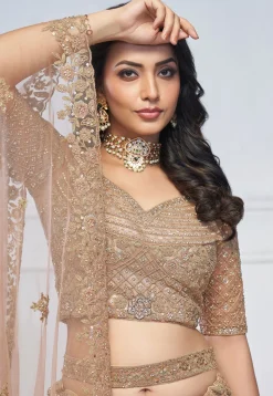 Embroidered Net Lehenga in Light Brown