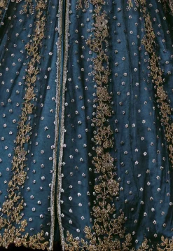 Embroidered Net Lehenga in Navy Blue