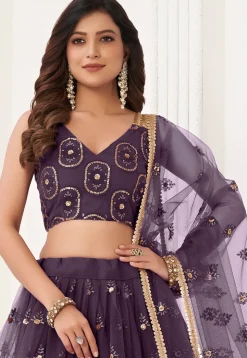 Embroidered Net Lehenga in Dark Purple