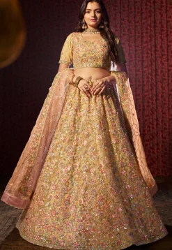 Embroidered Net Lehenga in Beige