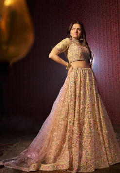 Embroidered Net Lehenga in Beige