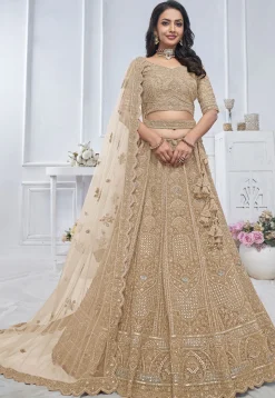 Embroidered Net Lehenga in Beige