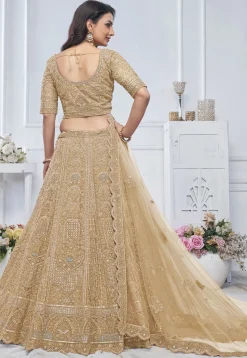 Embroidered Net Lehenga in Beige