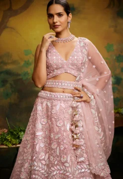 Embroidered Net Lehenga in Peach