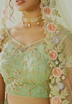 Embroidered Net Lehenga in Light Green