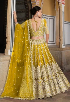 Embroidered Net Lehenga in Yellow