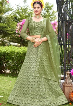 Embroidered Net Lehenga in Olive Green
