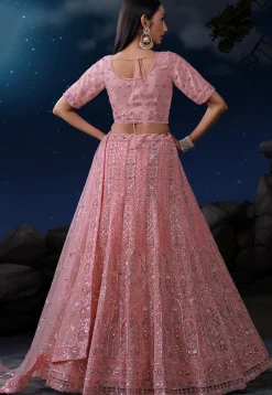 Embroidered Net Lehenga in Pink