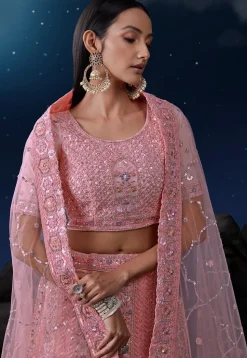 Embroidered Net Lehenga in Pink
