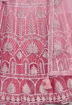 Embroidered Net Lehenga in Pink
