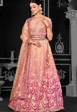 Embroidered Net Lehenga in Peach