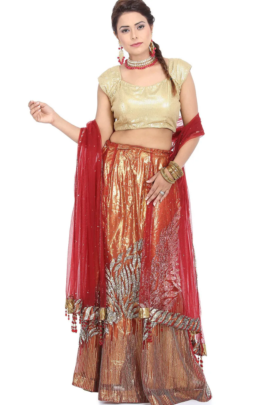 Embroidered Net Lehenga in Maroon