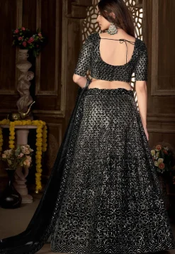 Embroidered Net Lehenga in Black