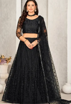 Embroidered Net Lehenga in Black