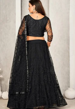Embroidered Net Lehenga in Black