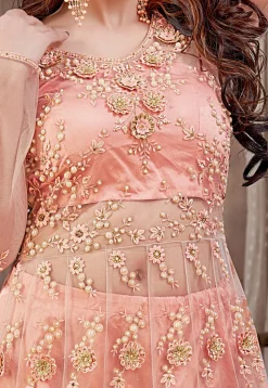Embroidered Net Lehenga in Peach