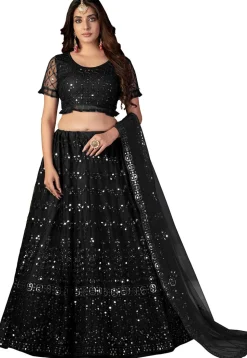 Embroidered Net Lehenga in Black