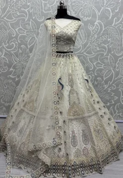 Embroidered Net Lehenga in Off White