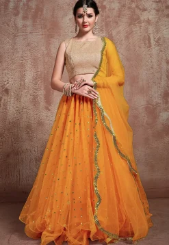 Embroidered Net Lehenga in Orange