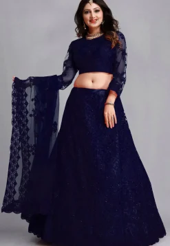 Embroidered Net Lehenga in Navy Blue