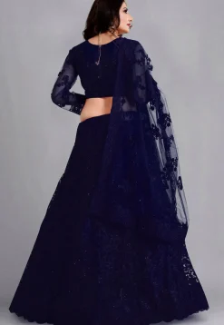 Embroidered Net Lehenga in Navy Blue