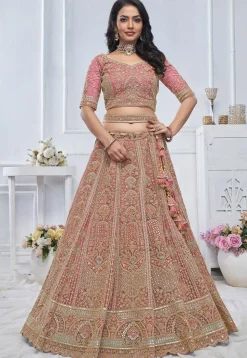 Embroidered Net Lehenga in Pink