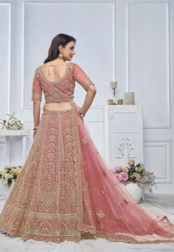 Embroidered Net Lehenga in Pink