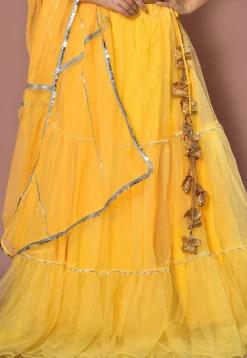Embroidered Net Lehenga in Yellow