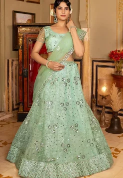 Embroidered Net Lehenga in Light Green